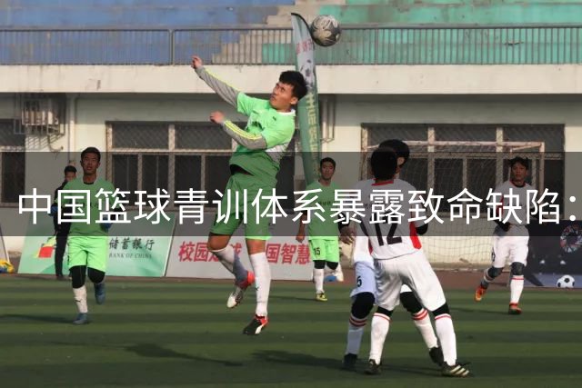 中国篮球青训体系暴露致命缺陷：18-22岁球员面临"职业断崖